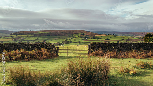 Gated field with sheep