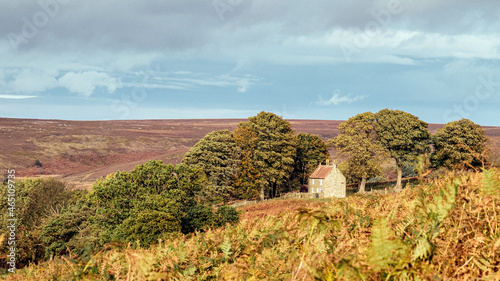 Farmhouse in Autumn woodland