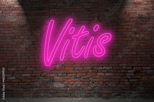 Neon BDSM Vitis Paddle lettering on Brick Wall at night