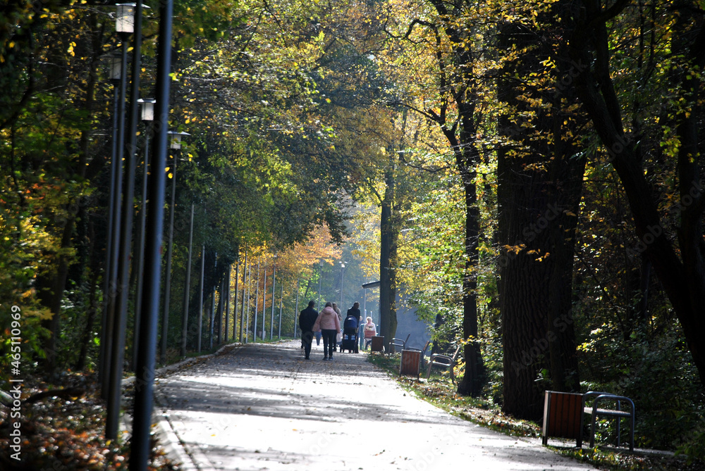 Zdjęcie przedstawiające ludzi idących aleją w parku wśród drzew - obrazy, fototapety, plakaty 