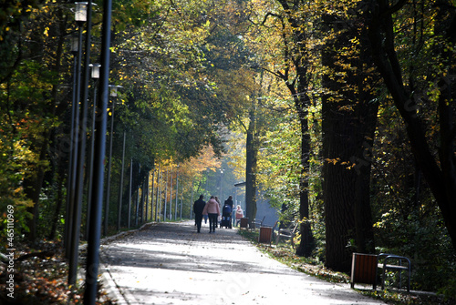 Zdjęcie przedstawiające ludzi idących aleją w parku wśród drzew