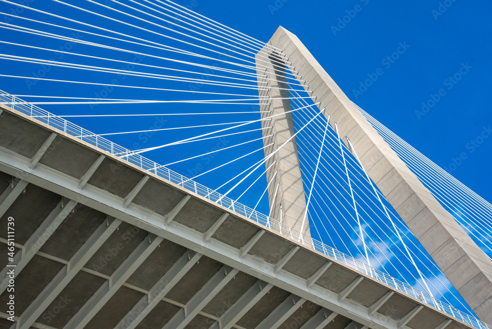 Suspended Bridge