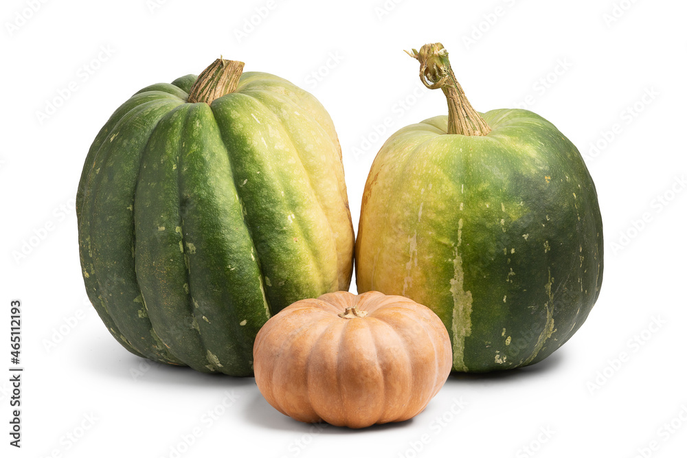Green and orange pumpinks isolated on white with shadows Green and orange pumpinks isolated on white with shadows