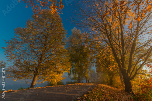 Cycle route with color autumn trees in fresh foggy sunrise morning