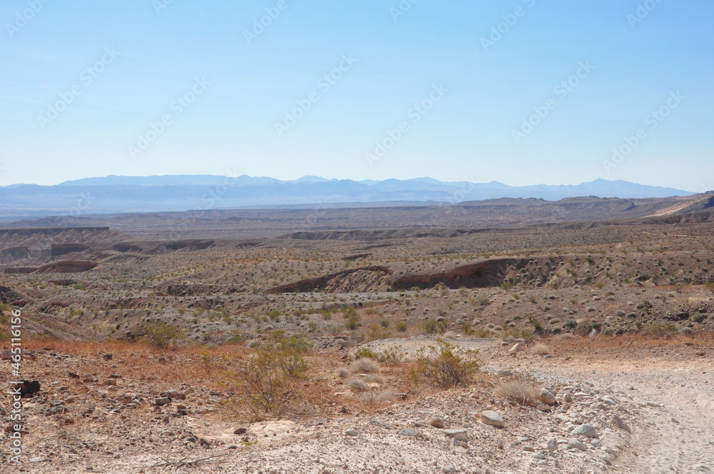 landscape in Desert