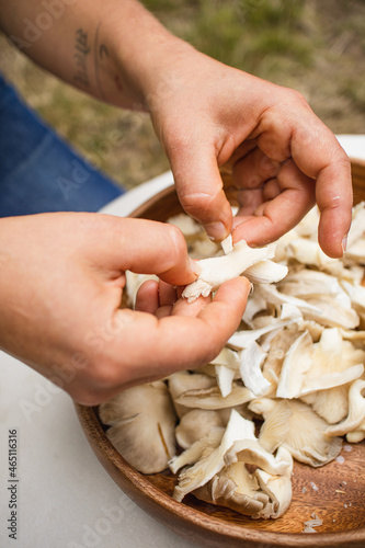 hands tearing apart oyster mushrooms vegan food photography delicious tasty natural organic food closeup