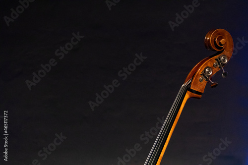The neck, scroll and pugs seen of an acoustic double bass with a gray wall in the background