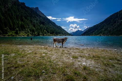 Hiking around the Neves Reservoir in  South Tyrol.