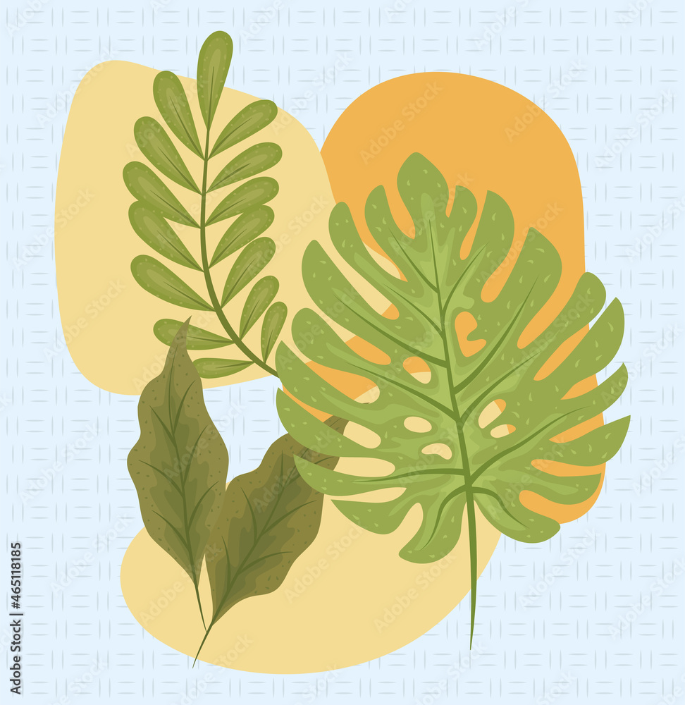 Obraz premium branches leaves nature