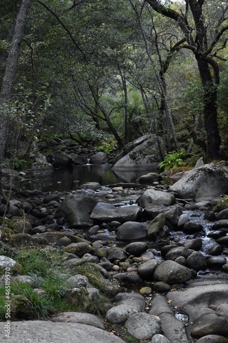 Some trees, rocks and a river in a placed called Sierra of France in Salamanca