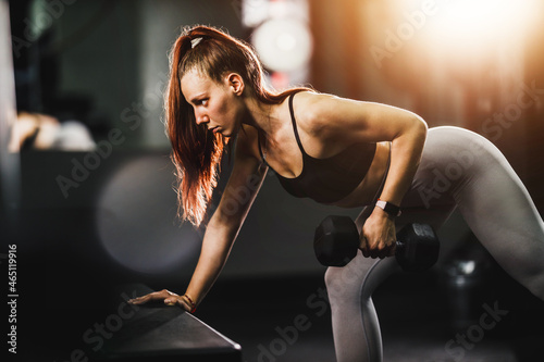 Woman Doing Training With Dumbbell At The Gym