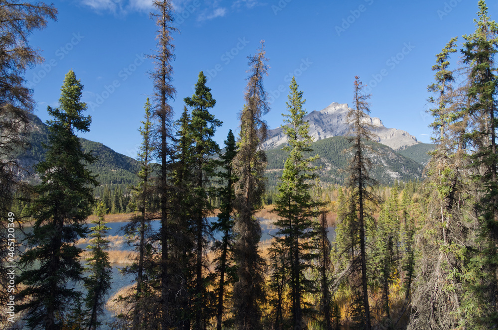 Autumn in the Mountains