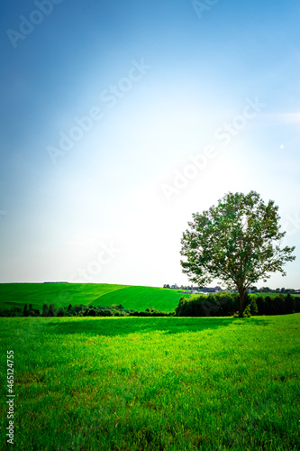 Panorama with Sun and Meadows near Fattendorf in the Bavarian Forst