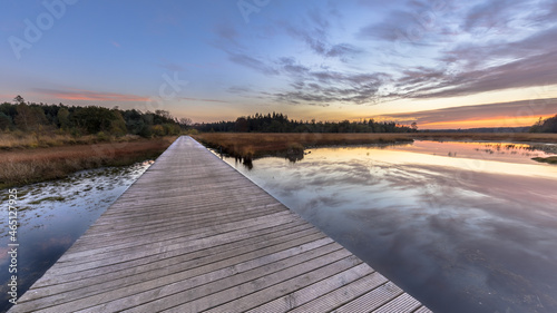 Boardwalk in natural heathland fen photo