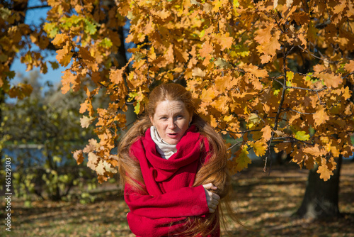Beautiful young woman with long red hairagainst the background of yellow foliage of a huge oak tree on a sunny autumn day She jokingly demonstrates that she is cold
