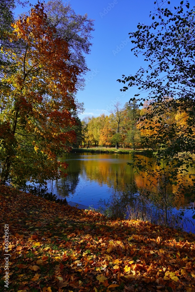 Amazing autumn landscape - small pond in the autumn park - A beautiful autumn day - colorful autumn Amazing autumn landscape - small pond in the autumn park - A beautiful autumn day - colorful autumn