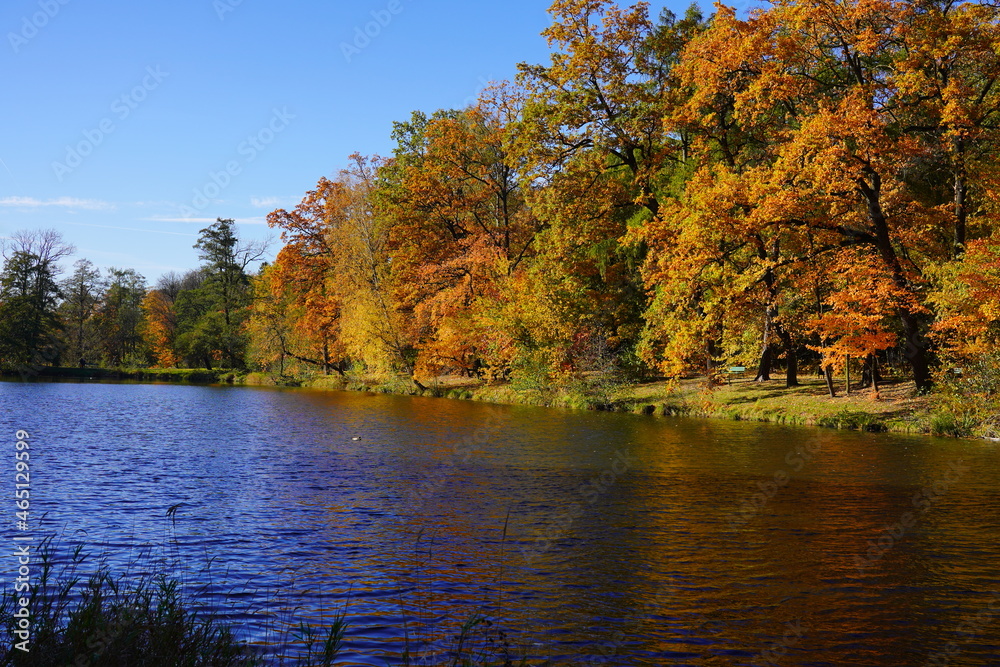 Amazing autumn landscape - small pond in the autumn park - A beautiful autumn day - colorful autumn Amazing autumn landscape - small pond in the autumn park - A beautiful autumn day - colorful autumn