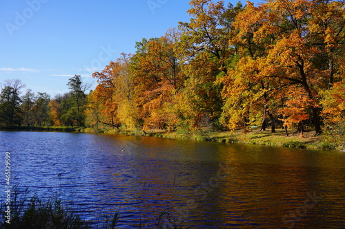 Amazing  autumn landscape - small pond in the autumn park - A beautiful autumn day - colorful  autumn