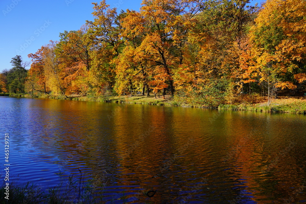 Obraz premium Amazing autumn landscape - small pond in the autumn park - A beautiful autumn day - colorful autumn