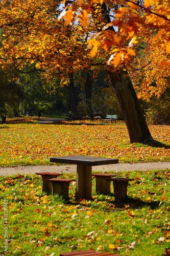 Table to play chess in autumn park - golden autumn -
city park