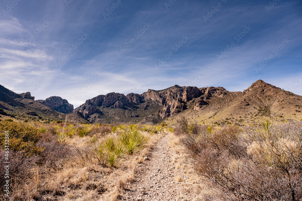 Trail Cuts Through the Chihuahuan Desert Trail Cuts Through the Chihuahuan Desert