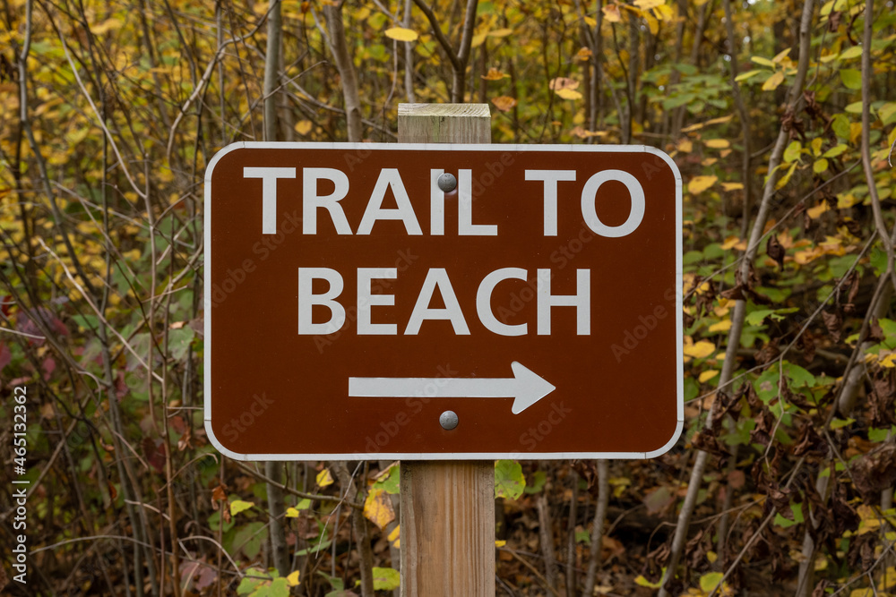 Trail to Beach Sign in Forest