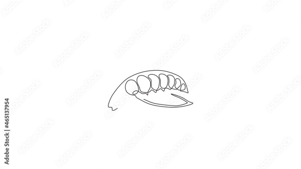 Animated self drawing of one continuous line draw whole healthy organic green pea for farm logo identity. Fresh seed pod of pisum sativum concept vegetable icon. Full length single line animation. Animated self drawing of one continuous line draw whole healthy organic green pea for farm logo identity. Fresh seed pod of pisum sativum concept vegetable icon. Full length single line animation.
