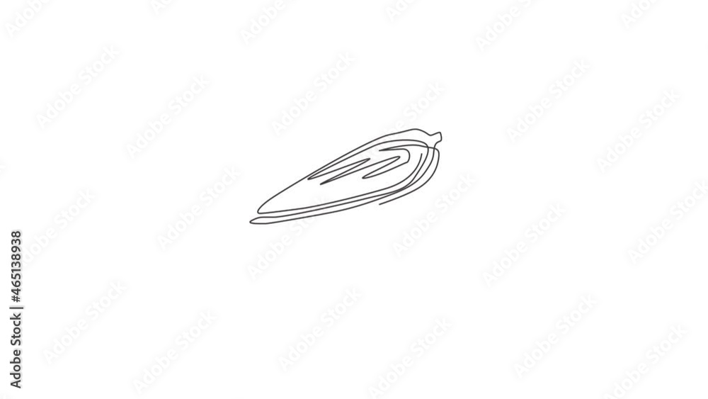 Animated self drawing of single continuous line draw whole healthy organic corn crop for farm logo identity. Fresh maize concept for starchy vegetable icon. Full length one line animation illustration Animated self drawing of single continuous line draw whole healthy organic corn crop for farm logo identity. Fresh maize concept for starchy vegetable icon. Full length one line animation illustration