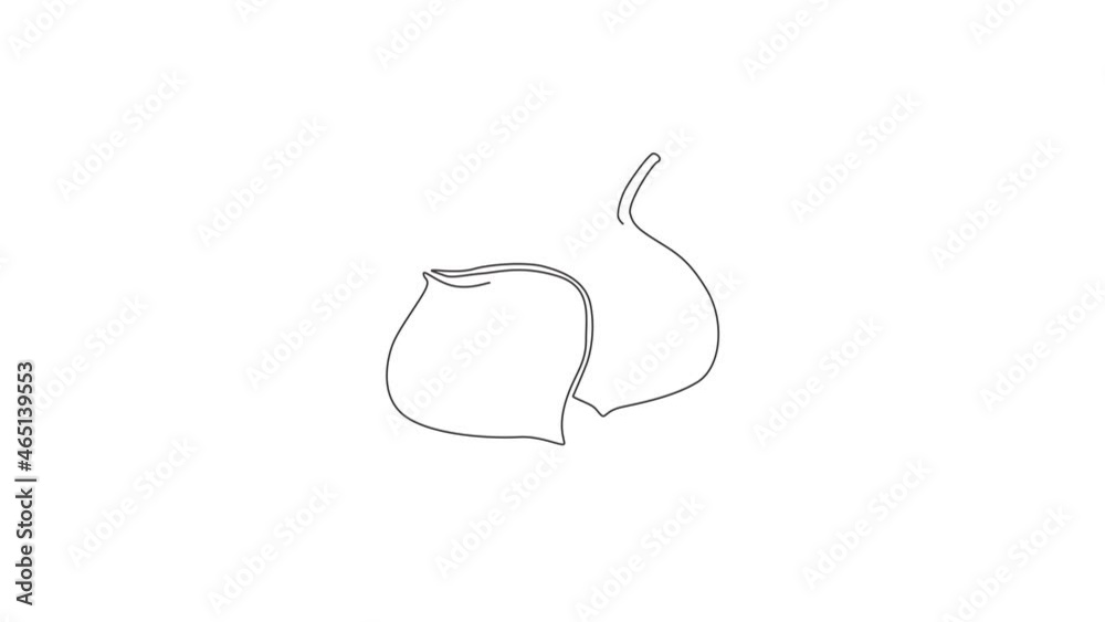Animation of one single line drawing of whole healthy organic jicama for orchard logo identity. Fresh yam vegetable concept for vegan farm icon. Continuous line self draw animated. Full length motion. Animation of one single line drawing of whole healthy organic jicama for orchard logo identity. Fresh yam vegetable concept for vegan farm icon. Continuous line self draw animated. Full length motion.