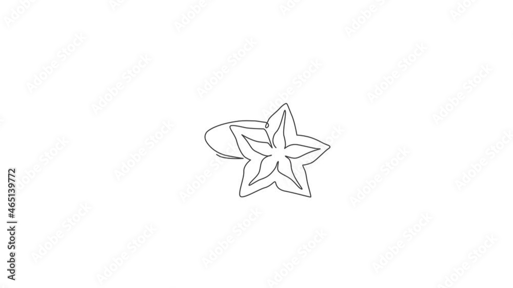 Animation of one single line drawing of whole healthy organic for starfruits orchard logo identity. Fresh star fruit concept for garden icon. Continuous line self draw animated. Full length motion.