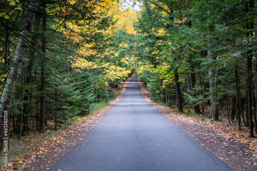 Fall foliage on the trees in Presque Isle Park road in Marquette, Michigan