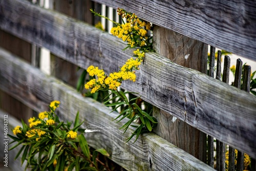 Scenes From the Beach