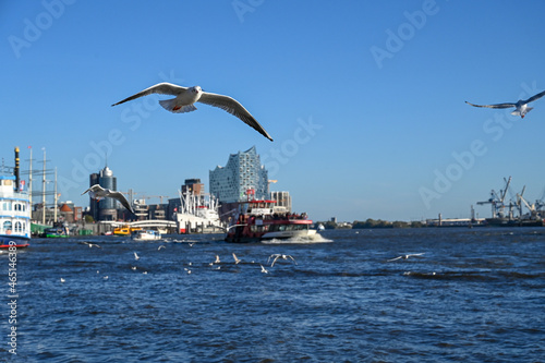 Panoramic view of city of Hamburg, Germany. Seagulls on Elbe river. 