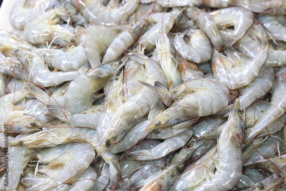 fresh Shrimps at the Public market fresh Shrimps at the Public market