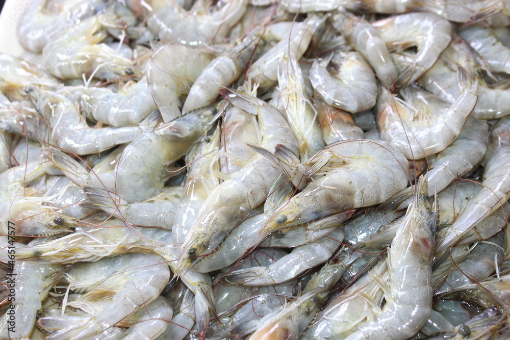 fresh Shrimps at the Public market