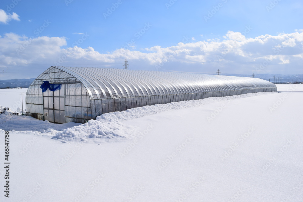 ビニールハウス 雪景色