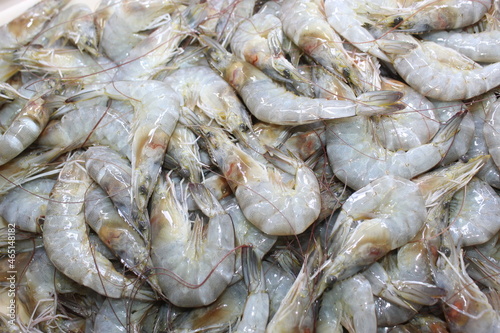 Fresh shrimps on a Bunch Sale