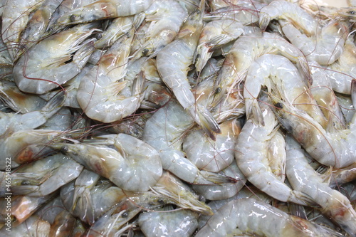 fresh shrimps at the market