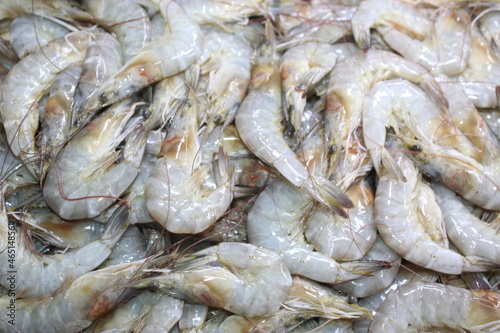 fresh shrimps on ice