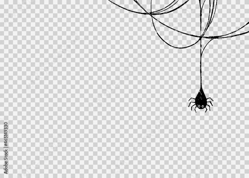 Spider hanging from spiderwebs isolated png or transparent texture, Halloween party background,blank space for text,element template for poster,brochures, online advertising,vector illustration