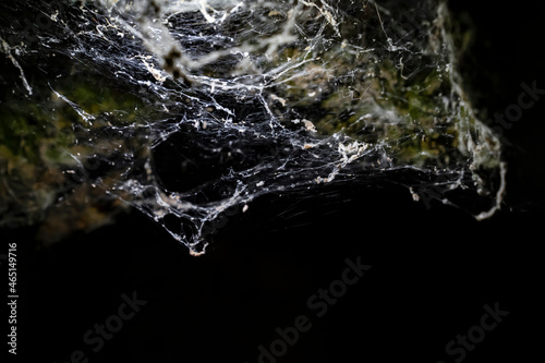White spider web in rays of light hangs on ceiling in dark cave. Concept of Halloween and trap. 