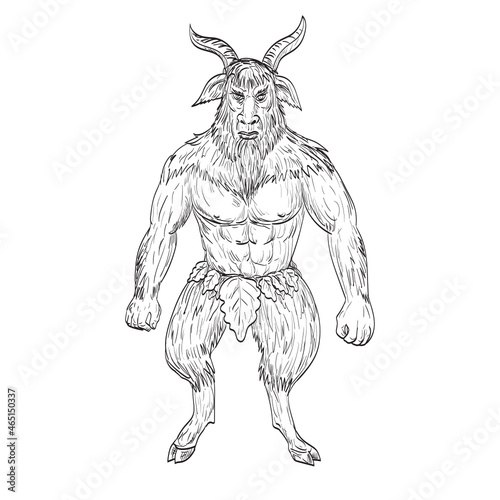 Drawing sketch style illustration of a Akerbeltz or Aker a spirit in the Basque folk mythology in the form of a billy goat standing viewed from front on isolated white background.