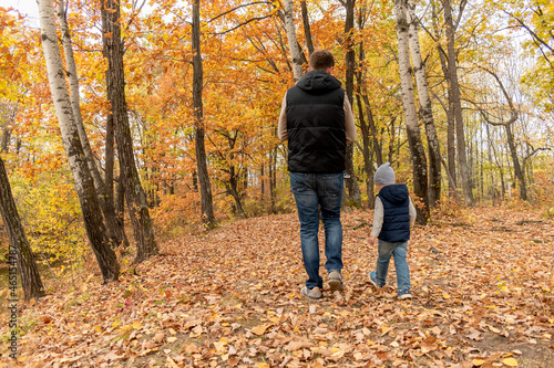 Young father holds his son by the hand while walking through the autumn forest. Back view.