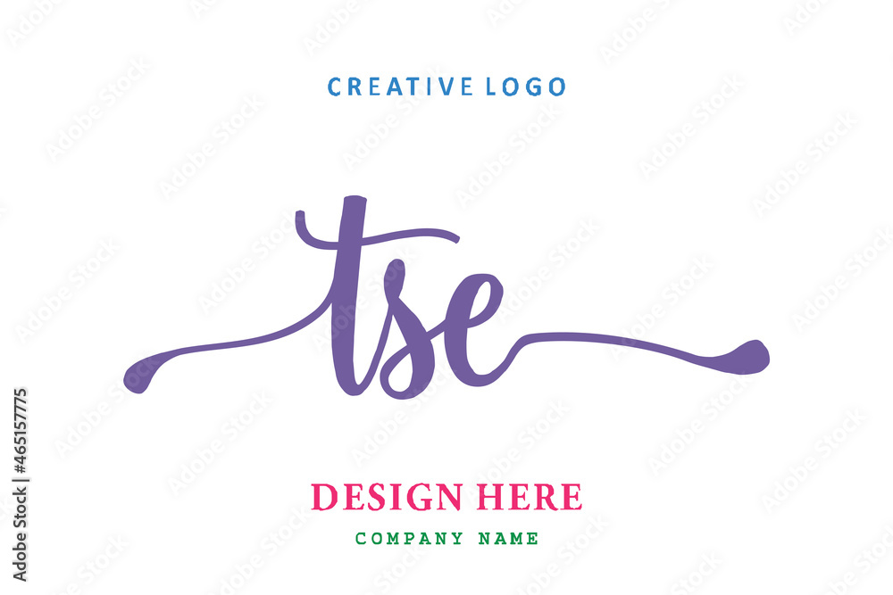 TSE lettering logo is simple, easy to understand and authoritative TSE lettering logo is simple, easy to understand and authoritative