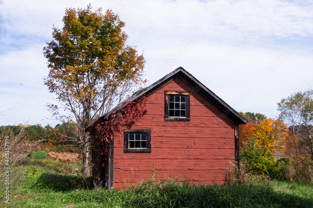 House in field