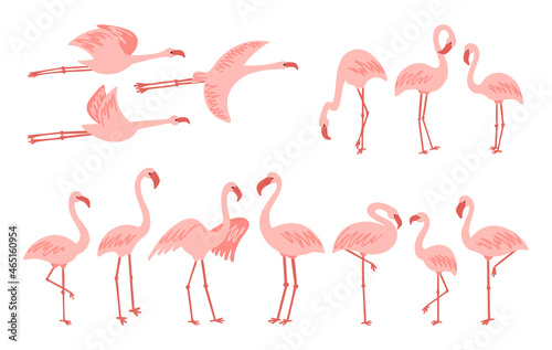 Standing and flying cute pale pink flamingo clipart © Svetlana Ievleva