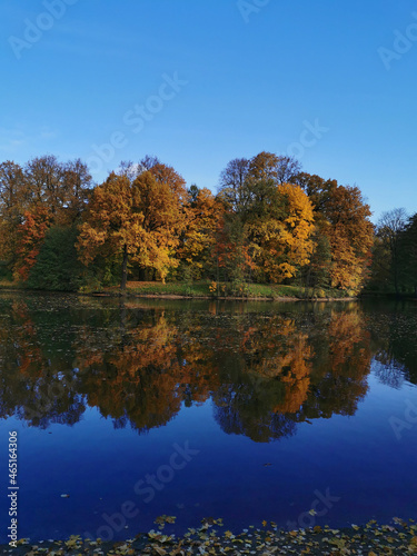 Autumn in the park. Trees with bright, colorful leaves grow around the pond and are reflected in its blue water. Inverted photo..