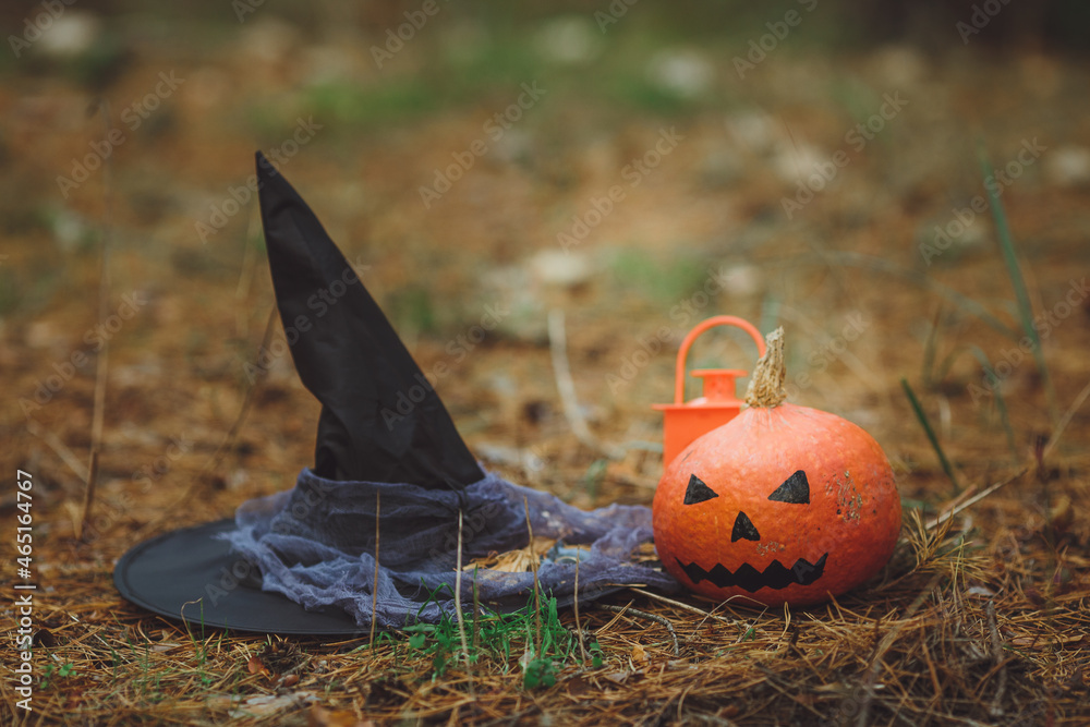 Halloween layout. Halloween concept. Halloween decorations on forest background. Witch hat, pumpkin