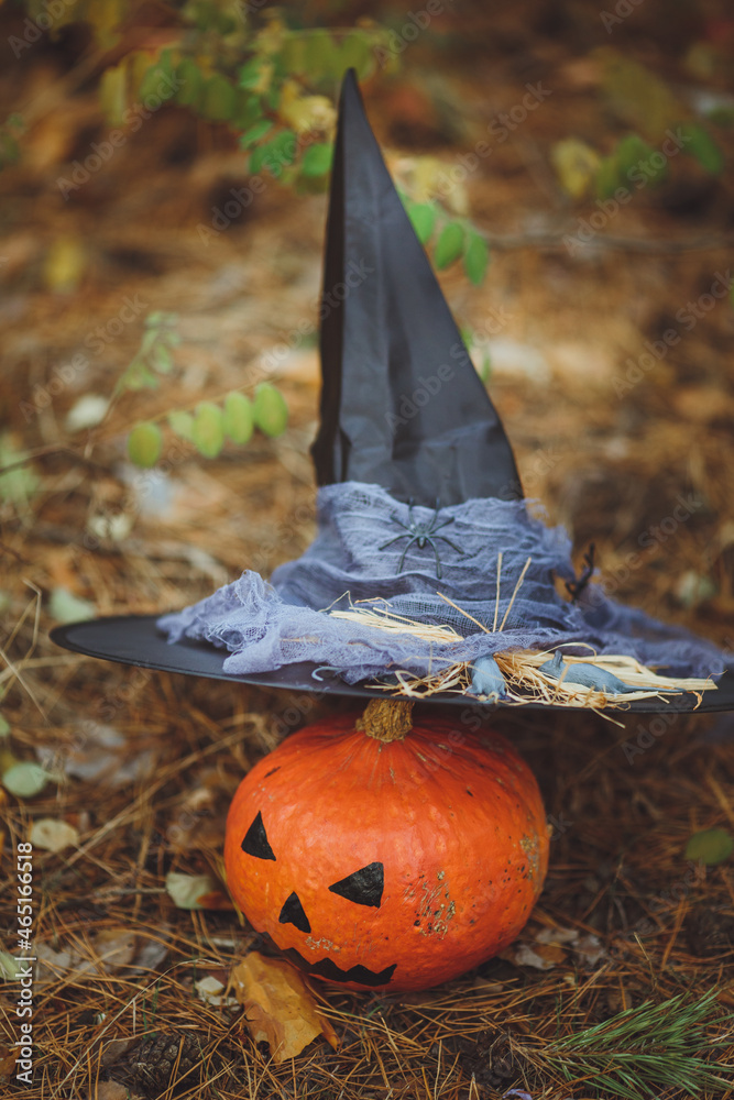 Halloween layout. Halloween concept. Halloween decorations on forest background. Witch hat, pumpkin