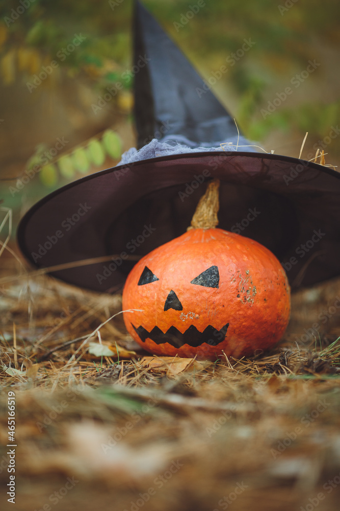 Halloween layout. Halloween concept. Halloween decorations on forest background. Witch hat, pumpkin